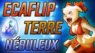 Dofus STUFF ÉCAFLIP FULL TERRE NÉBULEUX AIE AIE AIE [upl. by Morganstein]