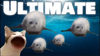 Bouncing Seals ULTIMATE 2022 [upl. by Einahpehs]