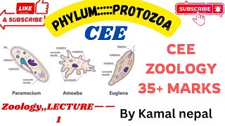 Phylum Protozoa  Cee zoology by Kamal Nepal sir with best notes ever and various stories [upl. by Ellary]