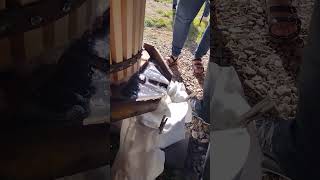 Cider pressing at Yarns Cider Mill in Clifford PA [upl. by Finnegan]