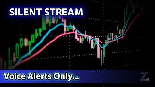 ​🌟Live Scanner Stock Market scanner  Ze Silent Stream voice only 01272023 [upl. by Louella889]