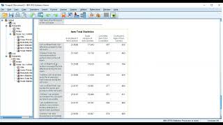 Reliability testCronbach alpha in SPSS Pilot Testing [upl. by Borras]