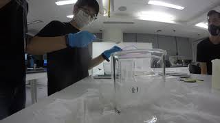 30316 Making Chitosan Solution Time Lapse [upl. by Liba360]