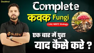 Complete fungi कवक Part 03  जीवो का वर्गीकरण  11th NEETBiology By Yogesh Chandra Shukla [upl. by Lazaro]