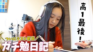 【ガチ勉日記】ついに明日決戦‼️高校1年の最後のテスト前日・・・ [upl. by Nace]