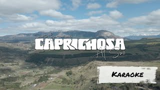 Caprichosa  Al Sur Karaoke [upl. by Rihaz]