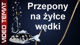 Przypony wędkarskie na żyłce  jak stosować przypony [upl. by Itsur]