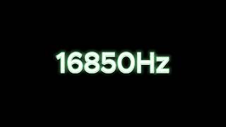 16850Hz  1685KHz Tone Test Speaker amp Headphone Frequency Response Test [upl. by Aloke]