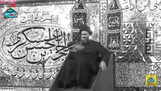 Imam Hassanemujtaba AS ke fazael by Molana Ali Raza Rizvi [upl. by Kcirdahc]