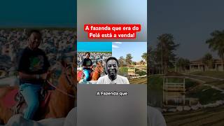 A FAZENDA QUE ERA DO PELÉ ESTÁ A VENDA POR VALOR INCRÍVEL [upl. by Airehs]