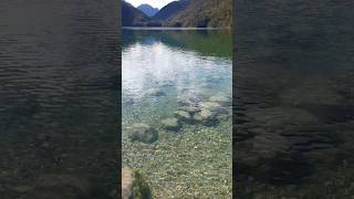 🇩🇪😍 Crystal clear Alpsee lake in Schwangau bavaria alpsmountains germany [upl. by Sunev]