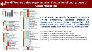 iMeta  Rumen microbiome and their underlying potentially causal relationships in shaping host trait [upl. by Ariaec]