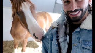 THIS HORSE BIT MY ARM [upl. by Hamas]