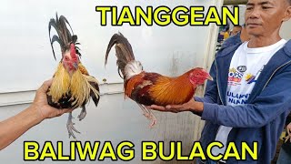 BALIWAG BULACAN PET TIANGGEANBAKWITTV [upl. by Hahseram]