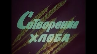 Сотворение ХЛЕБА Системы земледелия и оптимальные нормы высева семян [upl. by Aled]