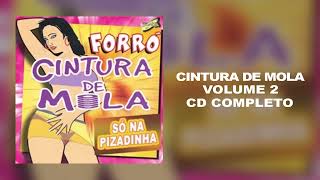 Forró Cintura de Mola CD Vol 2 COMPLETO [upl. by Tryck311]