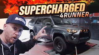 We Supercharged the Toyota 4Runner with Magnuson Dyno amp Offroad Test Drive [upl. by Maxy312]