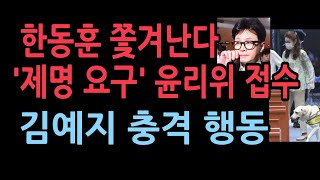 한동훈 제명 요구서 윤리위원회 접수김예지도 충격 행동 발칵 [upl. by Goles748]