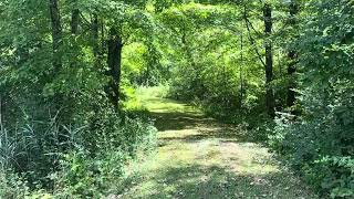 Ohio farm early afternoon real time amp sounds 10 August 2024 [upl. by Iruam329]