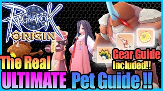 Real ULTIMATE PET Guide Gears with Tips Included Ragnarok Origin Global [upl. by Prisca]