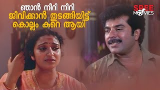 ഞാൻ നീറി നീറി ജീവിക്കാൻ തുടങ്ങിയിട്ട് കൊല്ലം കുറെ ആയി  Mammootty  Arayannegalude Veedu [upl. by Knute]