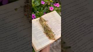 Grow plants in a Book 📖 without soil [upl. by Aina]