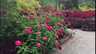 A Walk Through Beautiful Cantigny Park August 21 2017 [upl. by Wade]