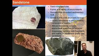 Geology10SedimentaryRocksrocks rocksphysicalgeography [upl. by Wolfgang849]