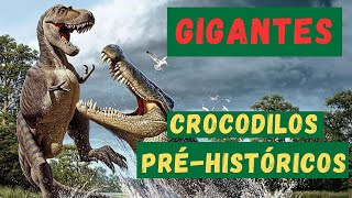 OS MAIORES CROCODILOS PRÉHISTÓRICOS DO MUNDO GIGANTES DO PASSADO MAIORES QUE MUITOS DINOSSAUROS [upl. by Yessydo]