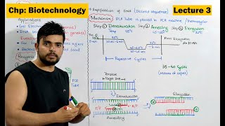 PCR  Polymerase Chain Reaction  Video 3 [upl. by Notyard306]