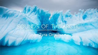 SOUNDS OF THE ARCTIC  Relaxing Winter Music amp Arctic Sounds  Background Music Sleep Music ✦ 2 [upl. by Ainimre]