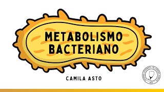 METABOLISMO BACTERIANO  Microbiología [upl. by Adniral]