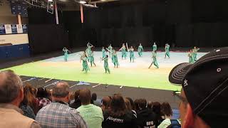 Perpetuum Winter Guard Lincoln Way East show 2017 [upl. by Amsa]