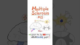 Multiple Sclerosis MS Demyelinating Autoimmune Disease  Part 3…anatomy neuro nurse mbbs [upl. by Berman]