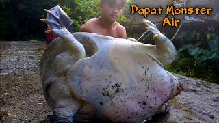 BERBURU IKAN DAPAT MONSTER AIR TERBESAR SUNGAI KALIMANTAN [upl. by Nolla]