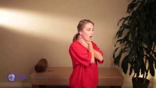 How to Save a Choking Adult or Child video [upl. by Noryak]