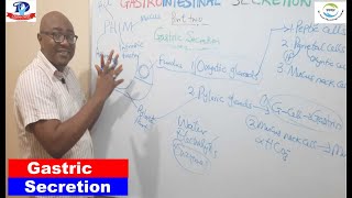 Gastrointestinal Secretion – 2 Gastric Secretion [upl. by Clarie]