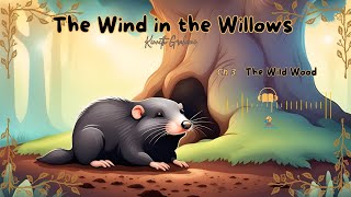 The Wind in the Willows  Ch 3  The Wild Wood  Kenneth Grahame  Audio story [upl. by Iover420]