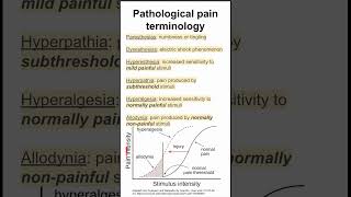 Pathological pain terminology [upl. by Rikki361]