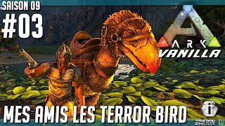 MORT DE TERREUR   Ark Survival Evolved Vanilla FR S09 EP03 [upl. by Aisak]