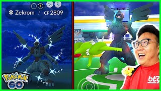 17 Raids on Zekrom Raid Hour in Pokemon GO [upl. by Arinaid]