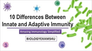 10 Differences between Innate and Adaptive Immune response Innate vs Acquired Immunity [upl. by Anivla]