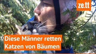 Diese Männer retten Katzen von Bäumen [upl. by Yclehc447]