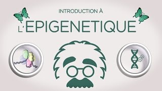 Introduction à lépigénétique  with ENGLISH subtitles [upl. by Anitsirt]