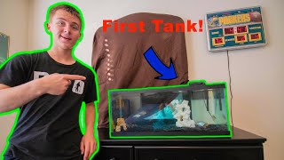 Setting Up My FIRST Fish Tank [upl. by Brownley]