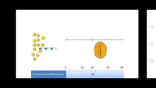 Bac math et sc  SVT  EP16  le cycle ovarien partie2 [upl. by Ayirp]