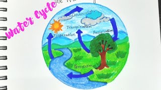 Easy Water Cycle Drawing  Water Cycle Diagram  Social Science Project artwatercycleeasy [upl. by Rennerb]