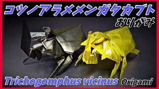 コツノアラメメンガタカブトおりがみTrichogomphus vicinus Origami幸野·阿拉米·孟加塔·卡布托折纸요령 노아 색상 멘가타카부토 종이 접기 [upl. by Adamson]