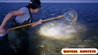 CRAB HUNTING in MandurahWestern AustraliaVlog16 [upl. by Kal]