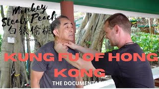 Hang Ngs Combat System p1  Kung Fu of Hong Kong ep8 EvosBasics ​⁠kungfuronin [upl. by Quita]